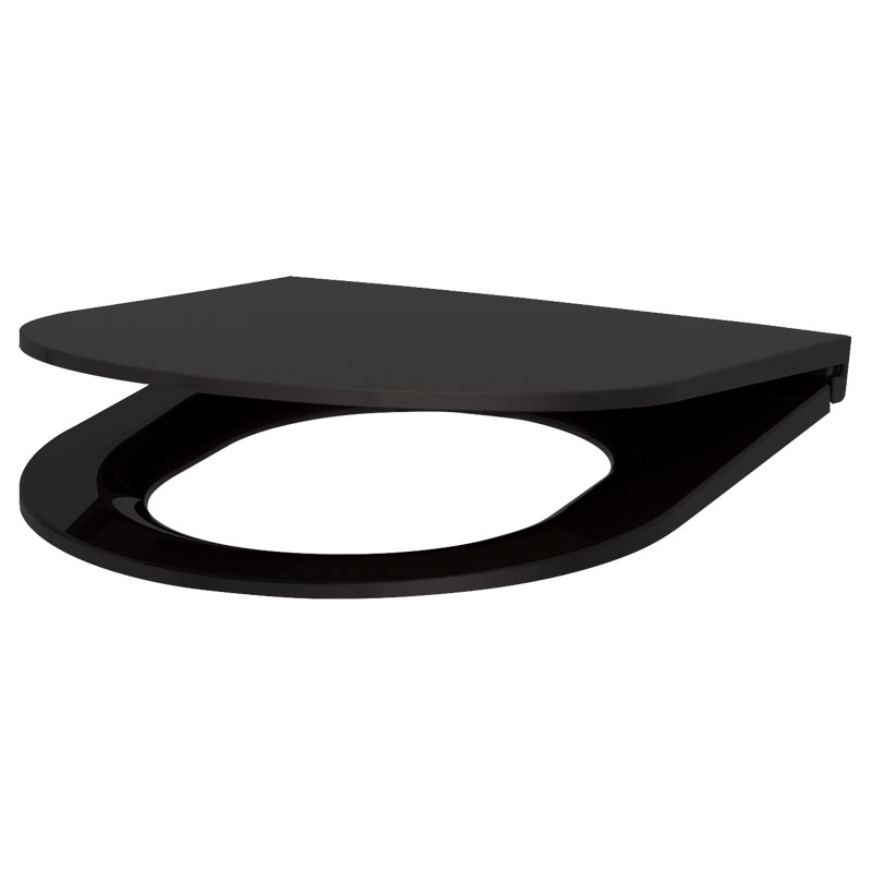 Delabie MONOBLOCO S21 WC set, matte black with black seat lid
